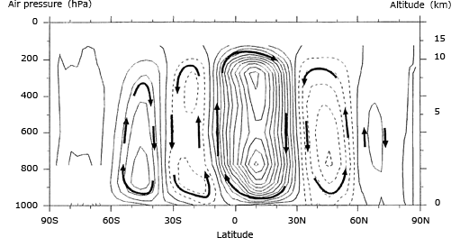 Fig.7