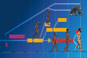 第2章 ヒトの進化と自然界における位置